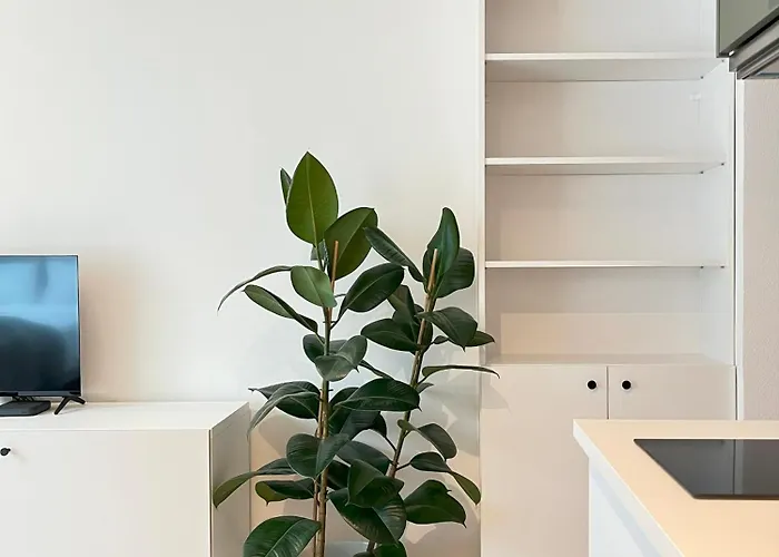 Premium With Air Conditioning For Couples In The Heart Of Krakow, Main Square 公寓